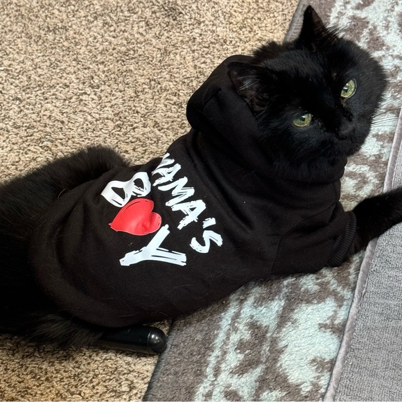 I’m not crazy. I just like to shop. A LOT. - Picture 4 of 4